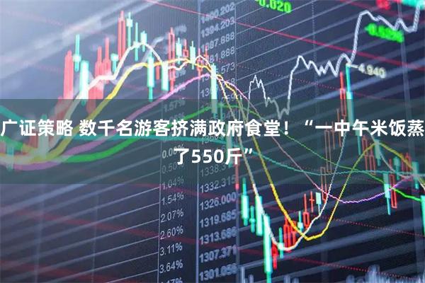 广证策略 数千名游客挤满政府食堂！“一中午米饭蒸了550斤”