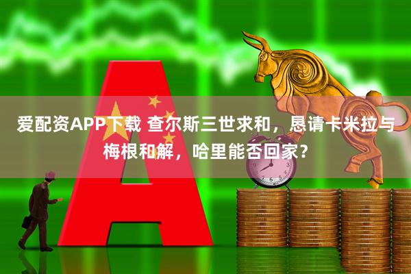 爱配资APP下载 查尔斯三世求和,恳请卡米拉与梅根和解,哈里能否回家?